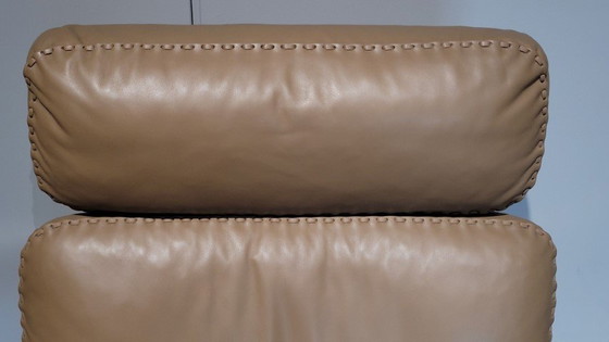 Image 1 of DS-31 Arenaria