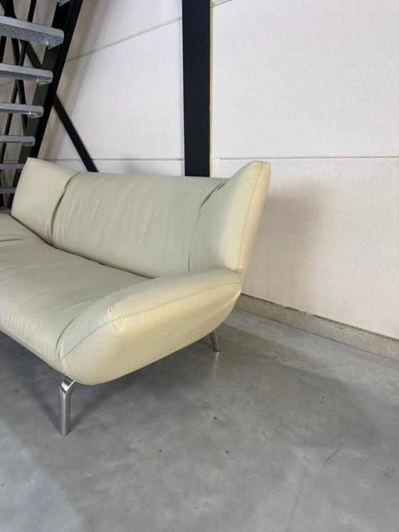 Divano Leolux Devon 2,5 posti - Pelle Wapiti Alba – Divani 2 posti, polished steel (photo 10 of 10)