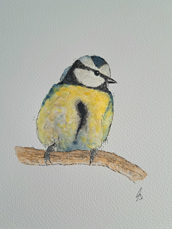 Image 1 of Watercolor painting Blue Tit