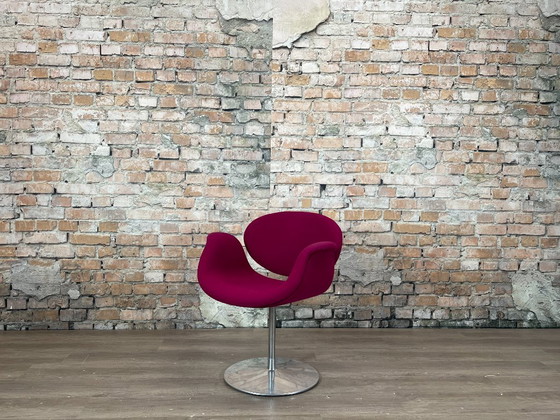 Artifort Little Tulip Purple – Chairs and lounge chairs, Metal, Textile (photo 3 of 15)