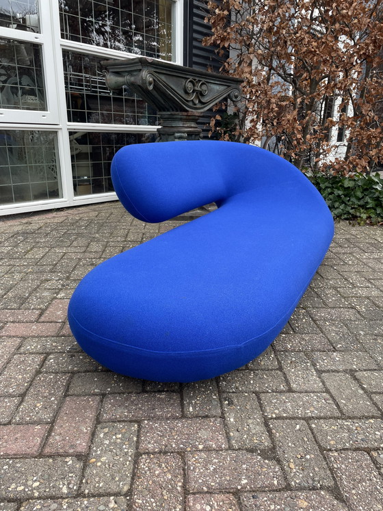 Image 1 of Artifort Cleopatra Loungebank, 70 Jahre