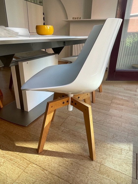 MDF Italia Flow stoel - 4 stuks – Eetkamerstoelen, Plastic, Wood (photo 4 of 5)