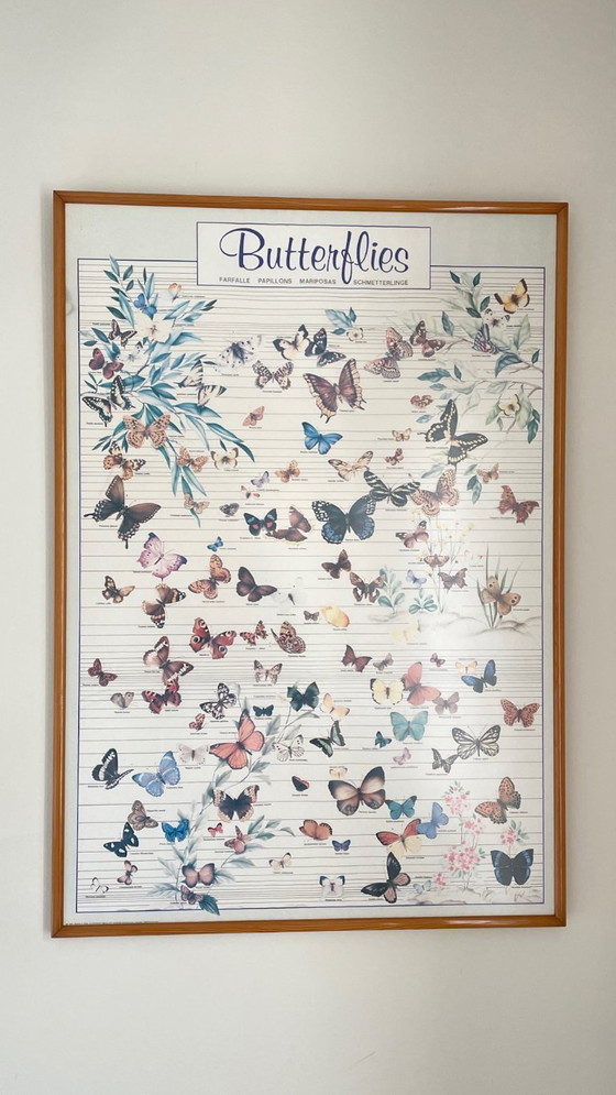 Image 1 of TABLEAU Affiche BUTTERFLY Italy