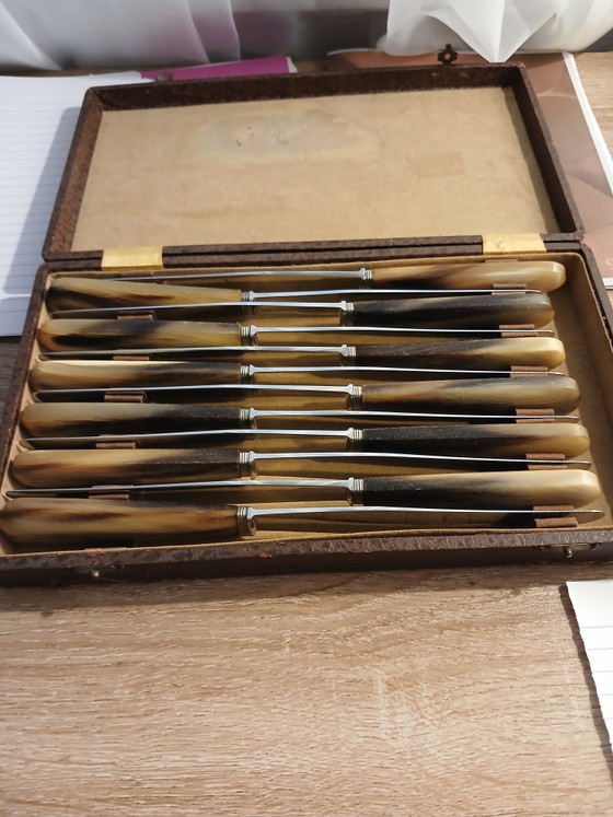 Set van 12 Messen 23 Cm Thiers Hoorn Handvat 1920 1930 – Besteksets, Metal (photo 2 of 14)