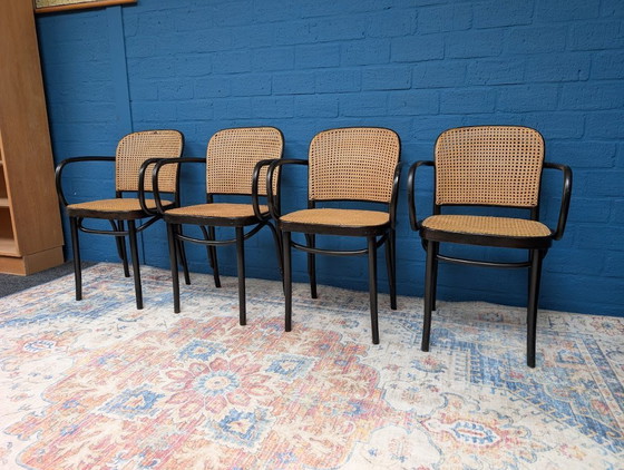 Image 1 of 4 chaises Prague 811 vintage, Josef Hoffmann, années 1960