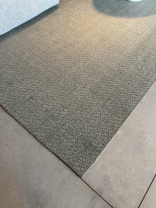 Tapis Salamanque Sauge 250x350