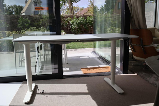 Scrivania IKEA regolabile in altezza, laccata bianca, 80 cm x 160 cm, con funzionamento elettrico.