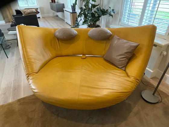Image 1 of Leolux, Danaïde sofa, yellow leather, taupe leather cushions