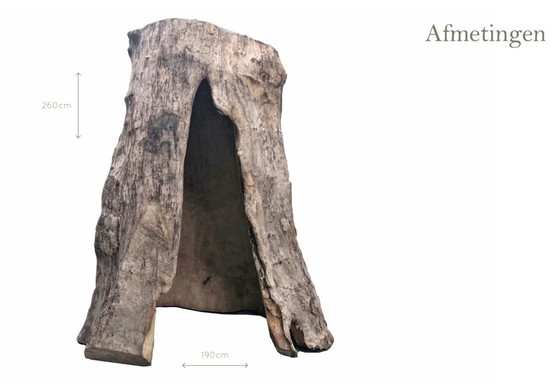 Image 1 of Árbol hueco — Espacio interior (pieza única)