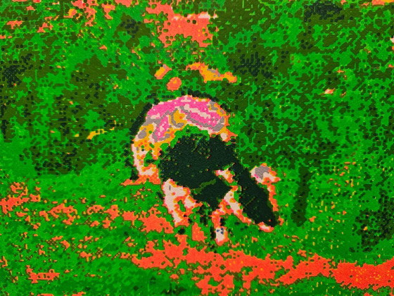 Image 1 of Sérigraphie sur papier épais Henk Van Der Vet Raalte