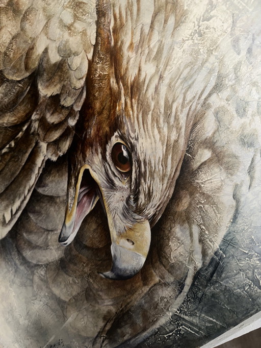 American eagle