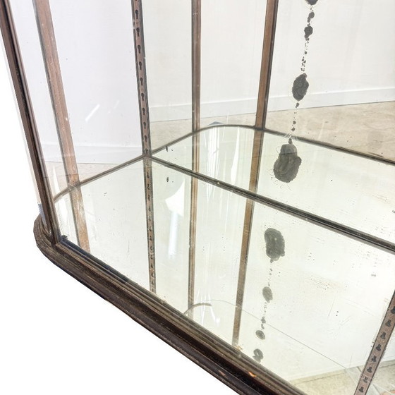Image 1 of Grote antieke museum vitrinekast met gebogen glas – bronskleurig metalen vitrinekast