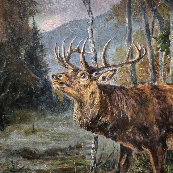 Image 1 of Tableau ancien représentant un cerf rouge dans la forêt, première moitié du XXe siècle