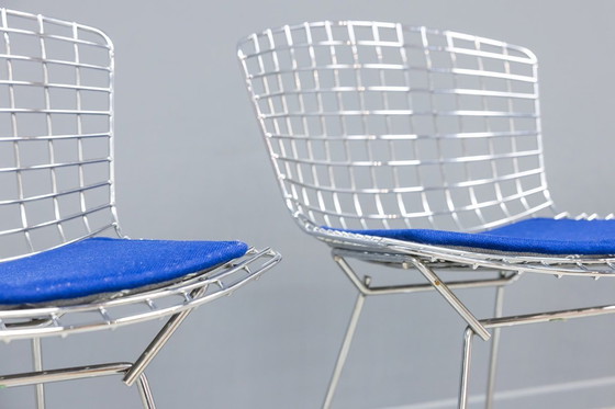 Image 1 of Sedia laterale Bertoia, 4x