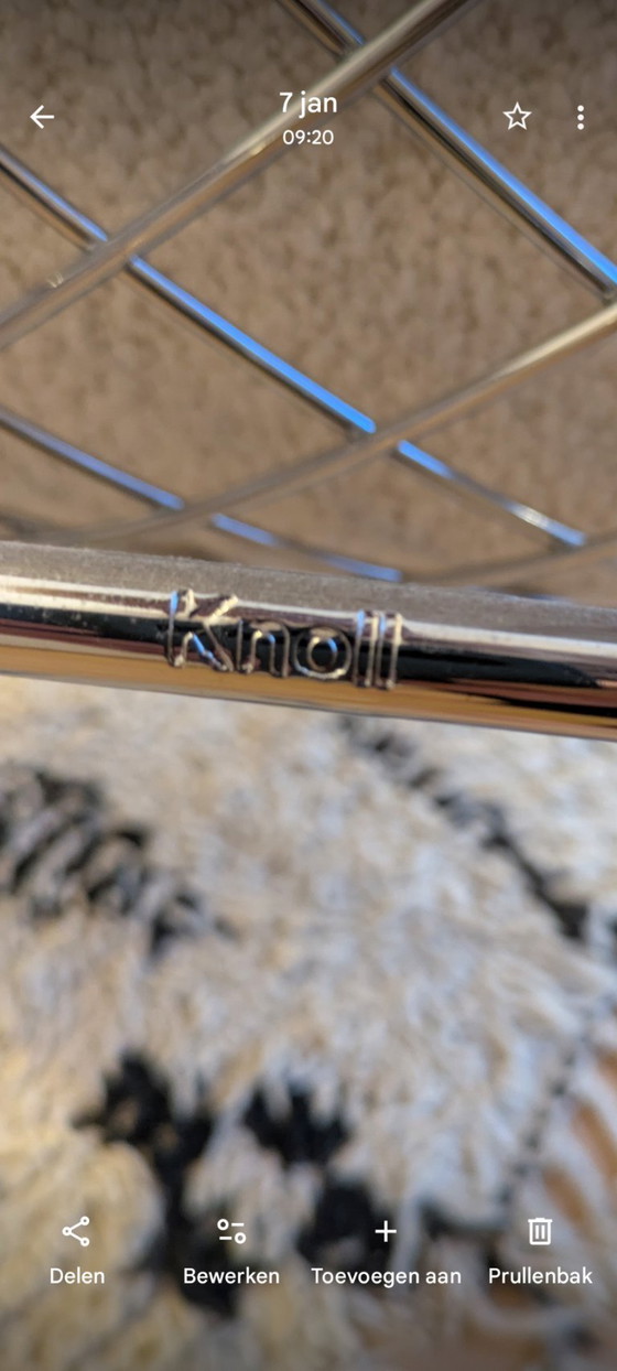 Image 1 of Fauteuil lounge Knoll Bertoia