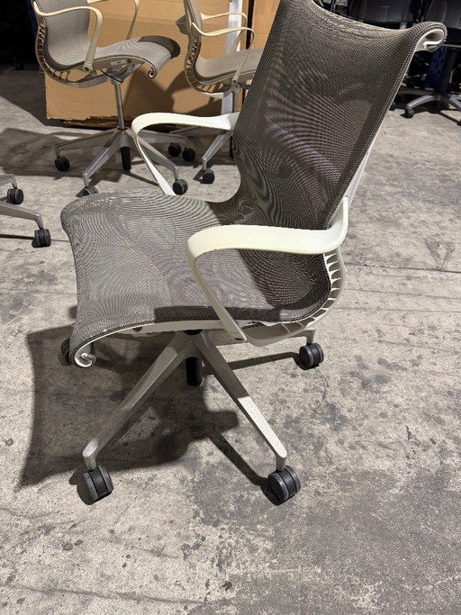 Chaises Herman Miller Setu Alpine d'occasion (40 disponibles)