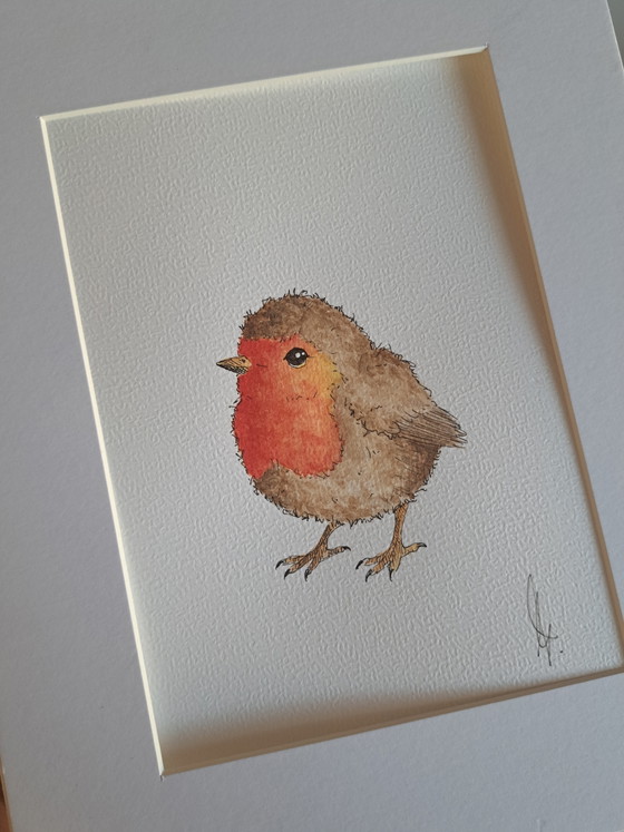 Original Watercolor Painting Robin | Includes Frame – Paintings & Drawings, Paper (photo 5 of 5)