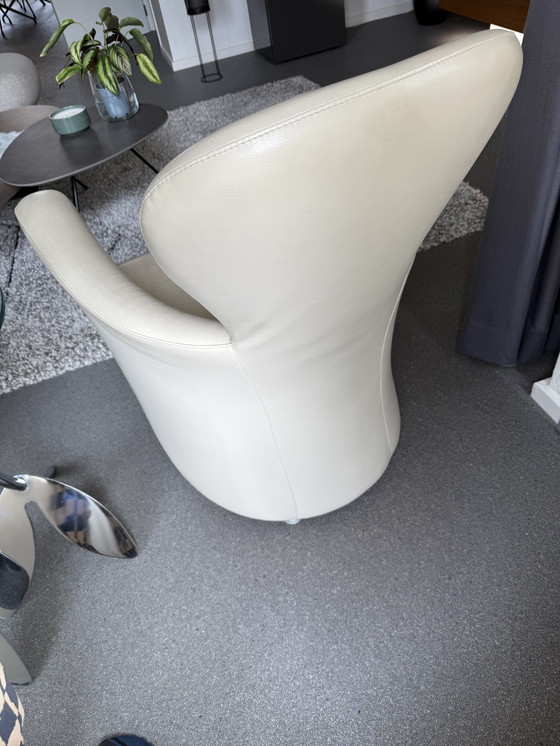 Image 1 of Twee feautuils Leolux Amphora 