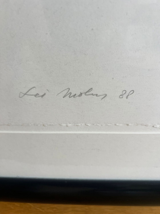Image 1 of Lei Molin – Grote handgesigneerde zeefdruk – 19/40 – ingelijst