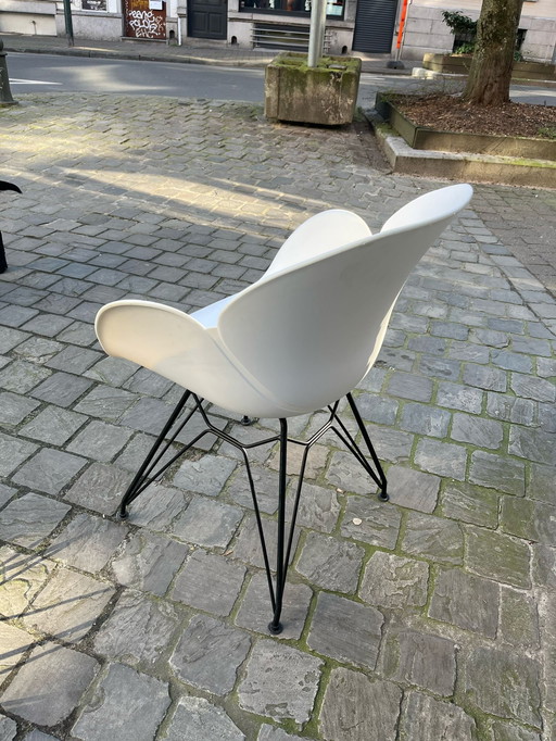 Weißer Stuhl Outdoor Design - Einzeln oder im Set