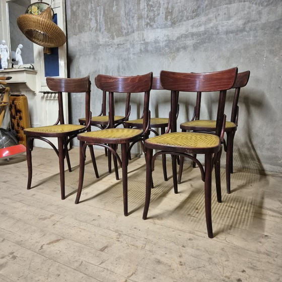 Image 1 of Set van 6 eetkamerstoelen, Thonet-stijl, jaren 60, Tsjecho-Slowakije