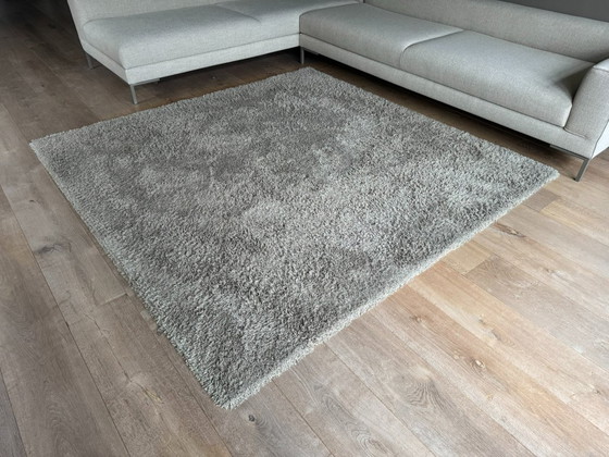 Image 1 of Square rug 230x230cm beige