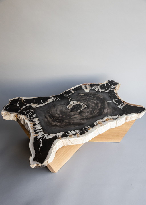 Petrified wood coffee table