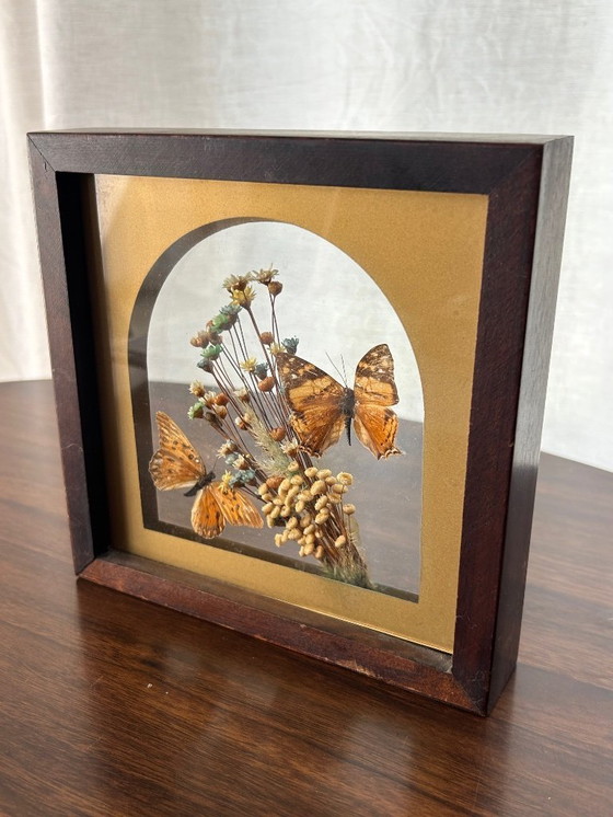 Image 1 of cornice a farfalla