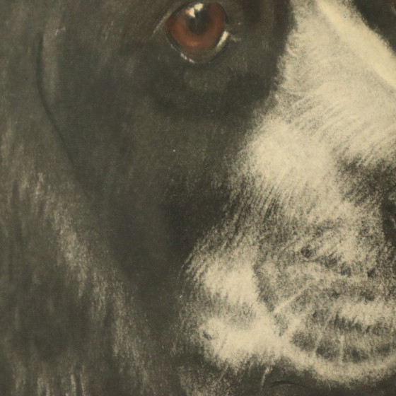 Image 1 of Large Color Lithograph Leon Danchin