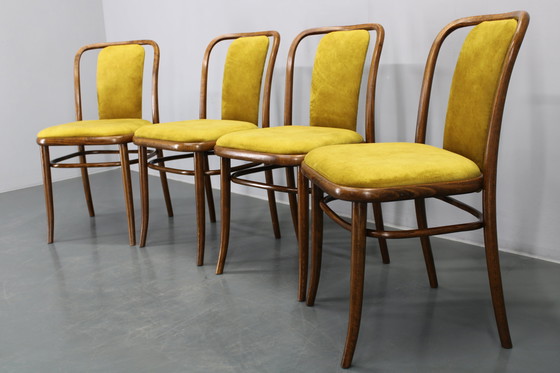Image 1 of Juego de cuatro sillas de comedor de madera curvada de haya restauradas de la década de 1970, de TON, Checoslovaquia
