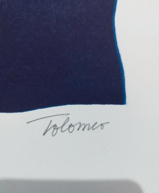 Baudelaire, La sainte jeunesse: Complete folder with linoleum by Carla Tolomeo ex. 75/75, 63x45 cm (photo 14 of 15)