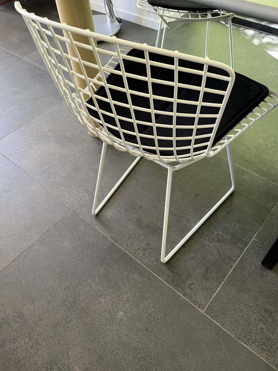 Image 1 of Knoll Bertoya Stühle