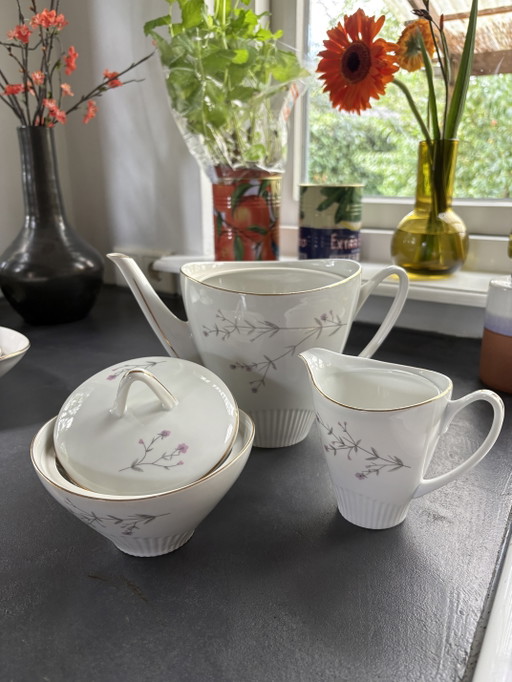 : Extensive Vintage Hanka Karlsbad Dinner Service – 12 Persons – servies, Porcelain (photo 2 of 5)