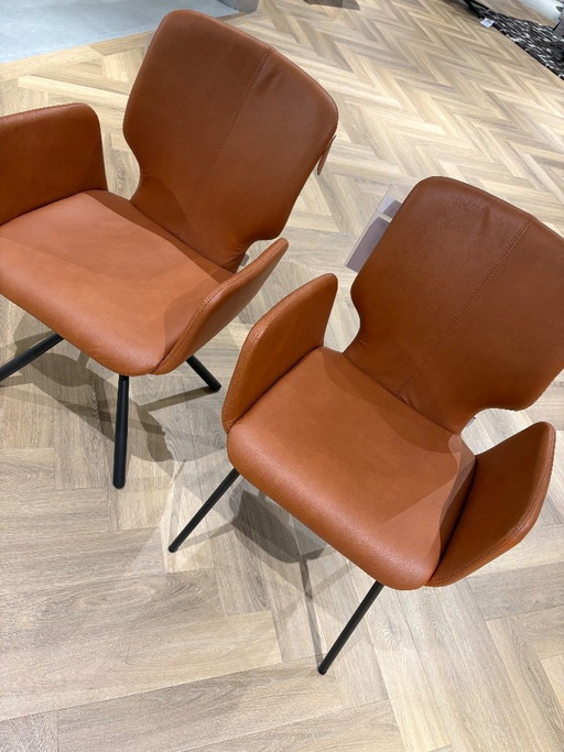 Signor T armstoelen Bert Plantagie. – eetkamerstoelen, Textile (photo 2 of 7)