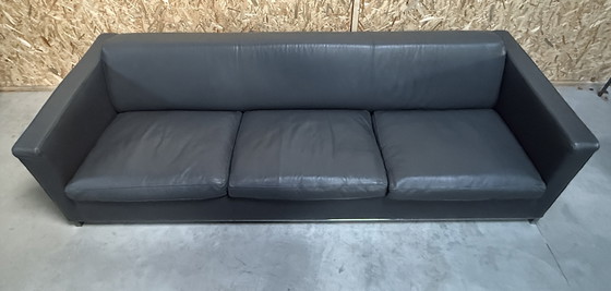 Image 1 of Divano in pelle Molinari Design