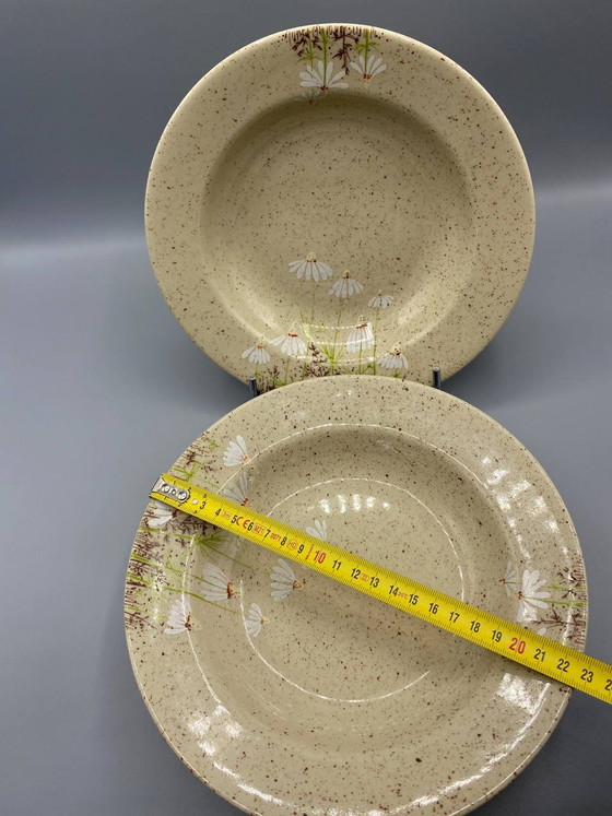 6 Stoneware Deep Plates, Tułowice, Poland, Daisy Pattern – Decorative Objects, Scandinavian (photo 4 of 4)