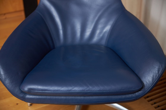 Image 1 of Leolux caruzzo