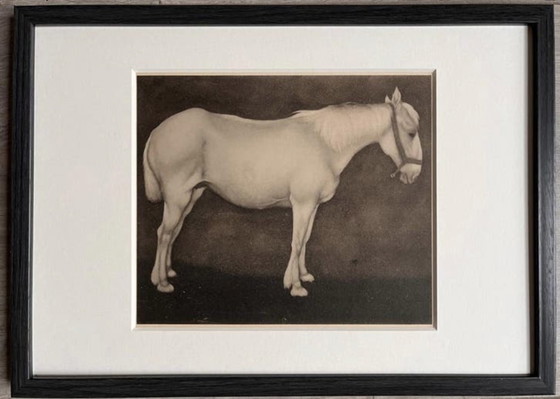Image 1 of Jan Mankes 1889-1920 / Original Heliogravüre Weißes Pferd 1923