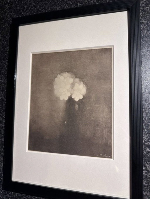 Jan Mankes 1889-1920 / Originele Heliogravure Vaas met Jasmijn 1923