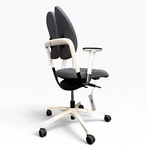 Grahl Xenium Dou back – Chaises de bureau, Métal, Plastique (photo 5 of 8)