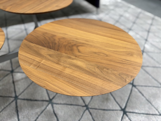 Leolux Ninfea Coffee table walnut houf, Wood, Multi Color (photo 4 of 14)