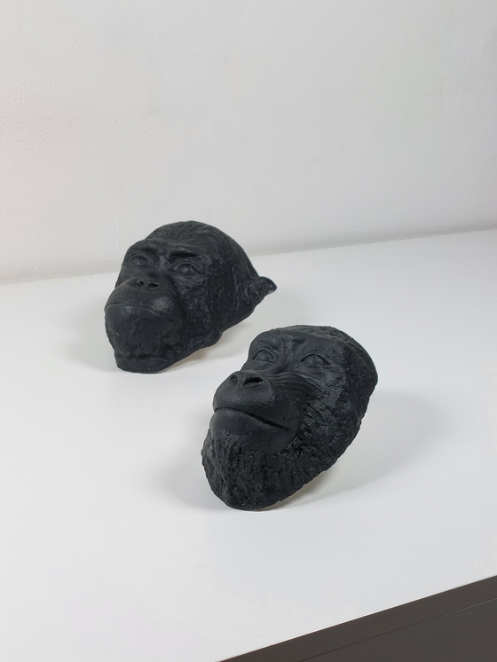 Image 1 of Coppia di rare maschere mortuarie in gesso, scimpanzé, mandrillo, gabinetto delle curiosità