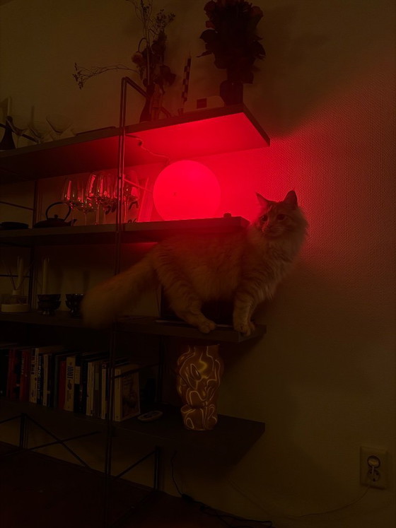 Image 1 of Original Niels Gammelgaard Enetri Shelf