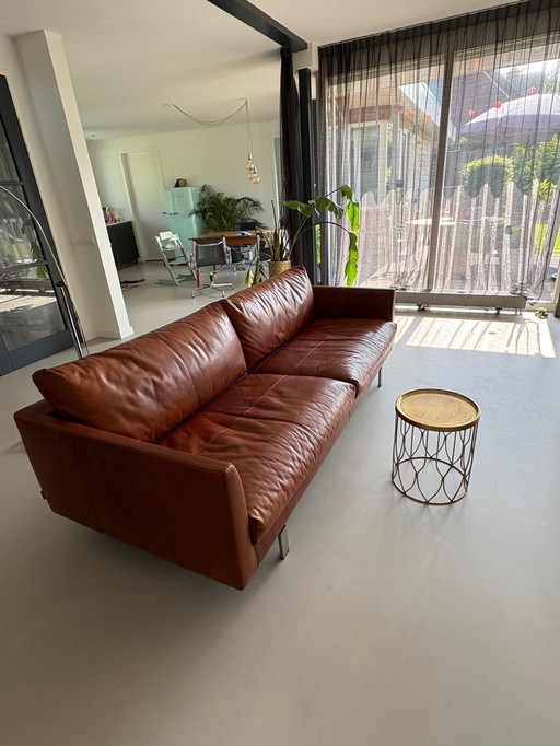Montis Axel 3.5 seater Rancho leather