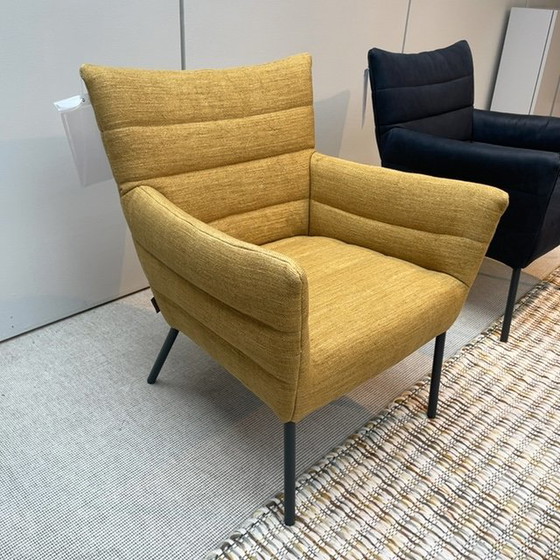 Image 1 of LABEL vandenberg Cocoon Lounge fauteuil