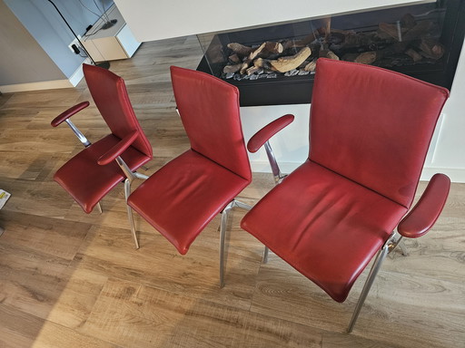 Leolux Natello Esszimmerstühle