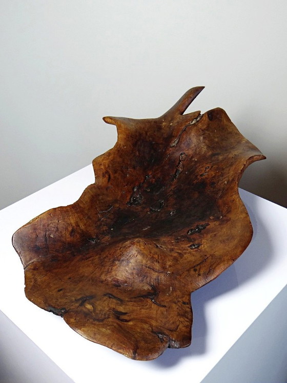 Image 1 of Grande coupe monoxyle en bois brut d'olivier foncé années 50