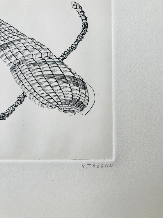Image 1 of Yves Tregan - Vintage Etching - Shells