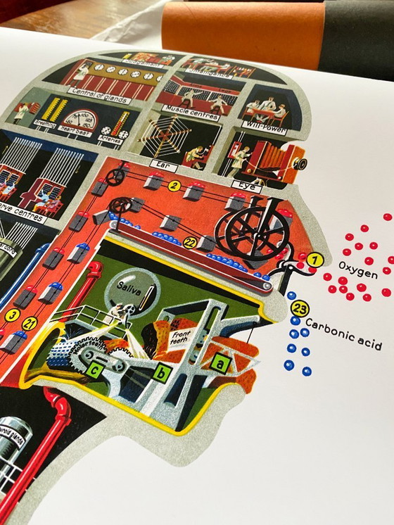 Image 1 of The human factory - Sketch of the body's functions - 1931 - Poster 61 x 91 cm