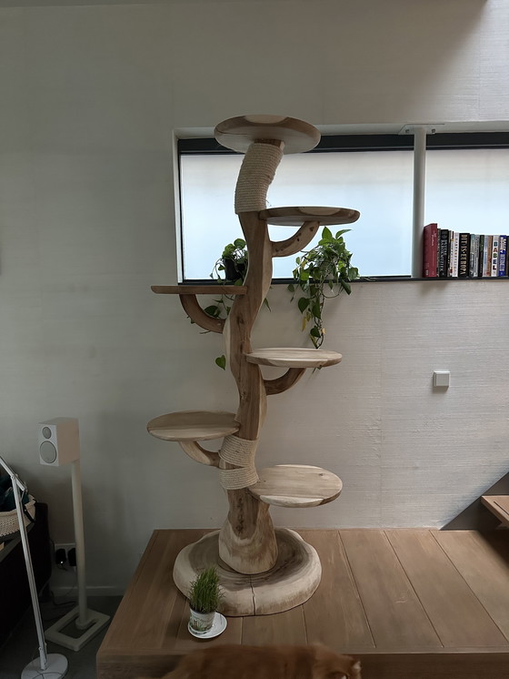 Image 1 of Árbol para gatos de madera, 2 metros de altura.